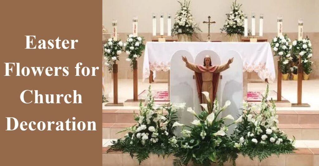 Easter Flowers for Church Decoration
