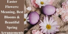Easter Flowers: Meaning, Best Blooms & Beautiful Spring Arrangements