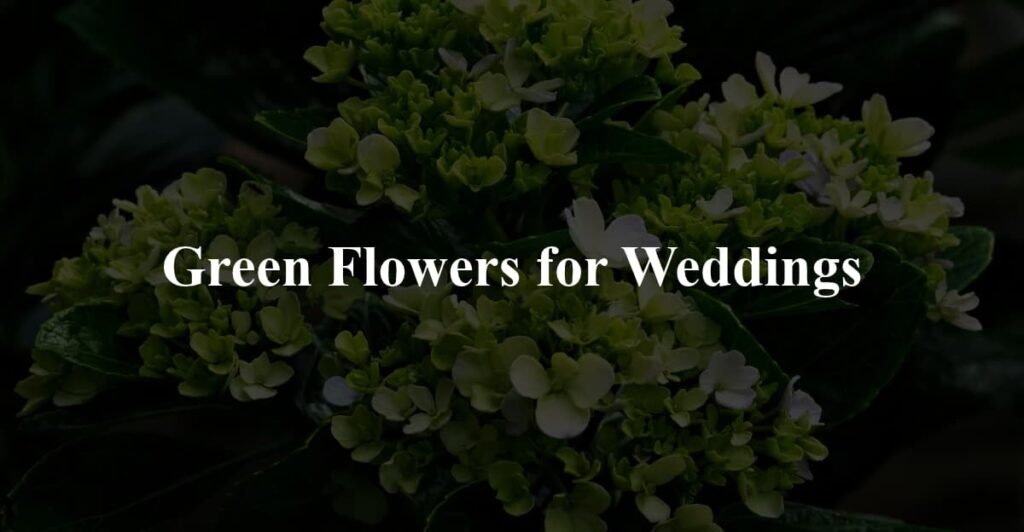 Green Flowers for Weddings