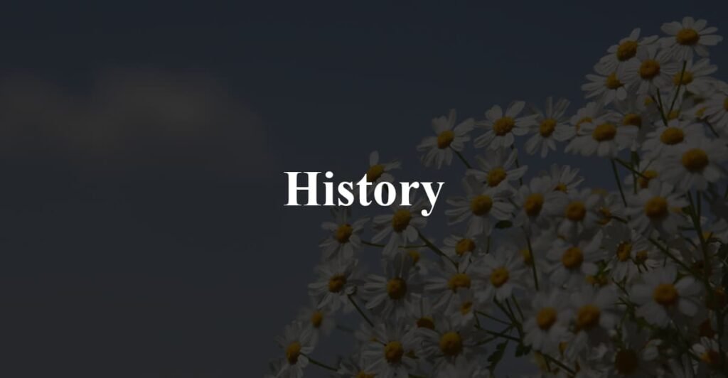 History