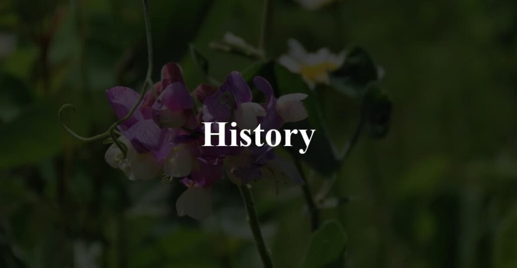 History