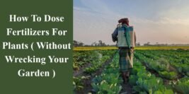 How to Dose Fertilizers for Plants [Avoid Root Burn]