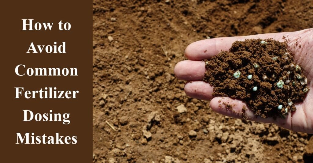 How to Avoid Common Fertilizer Dosing Mistakes
