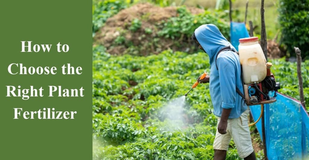 How to Choose the Right Plant Fertilizer