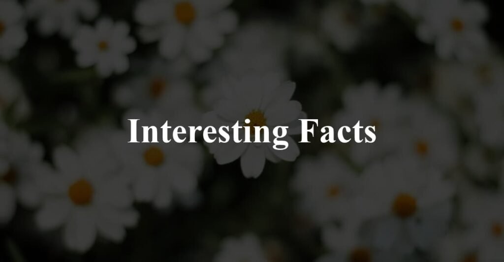 Interesting Facts