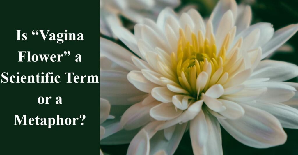 Is “Vagina Flower” a Scientific Term or a Metaphor?