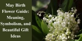 May Birth Flower Guide: Meaning, Symbolism, and Beautiful Gift Ideas