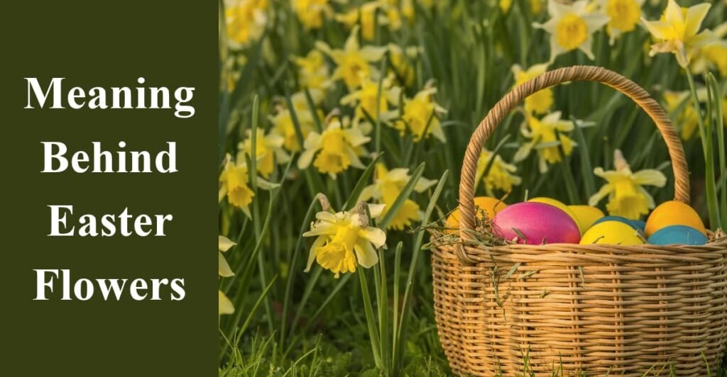 Meaning Behind Easter Flowers