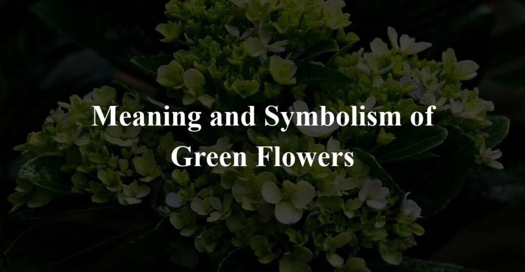 Meaning and Symbolism of Green Flowers