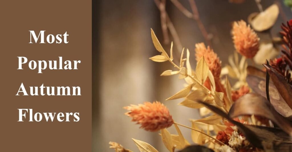 Most Popular Autumn Flowers