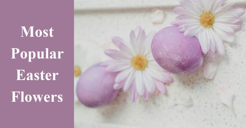 Most Popular Easter Flowers