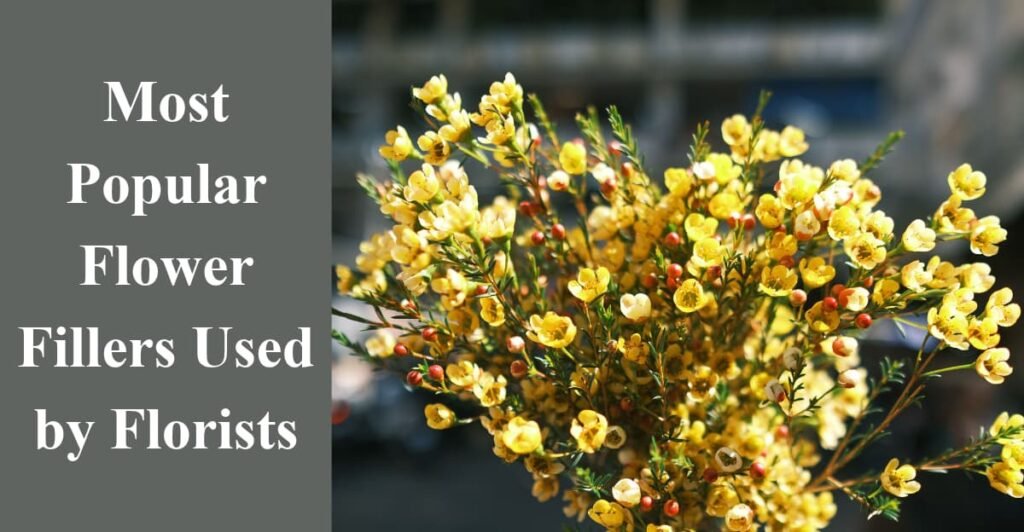 Most Popular Flower Fillers Used by Florists