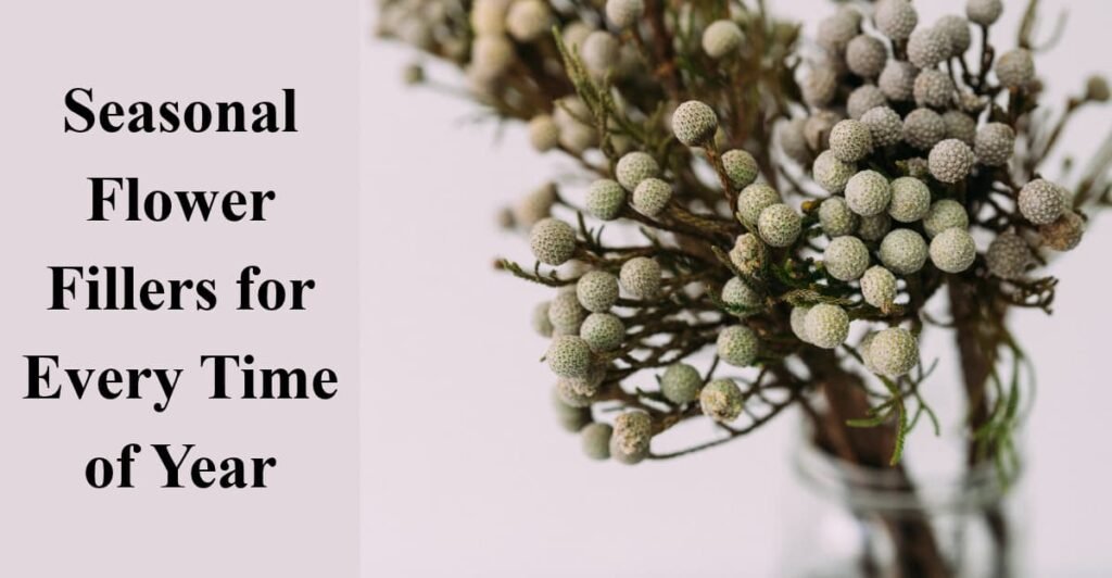 Seasonal Flower Fillers for Every Time of Year