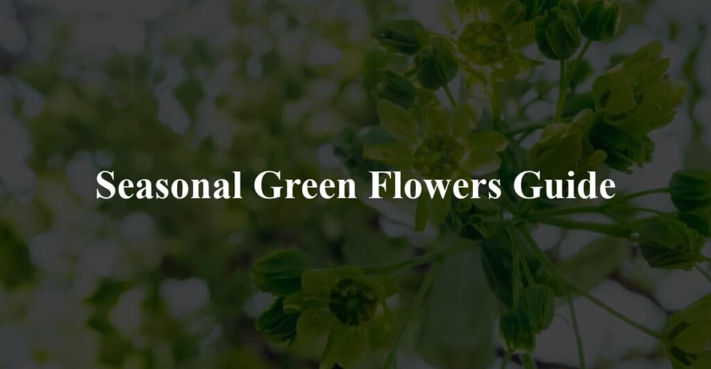 Seasonal Green Flowers Guide