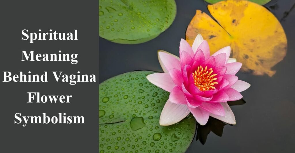 Spiritual Meaning Behind Vagina Flower Symbolism