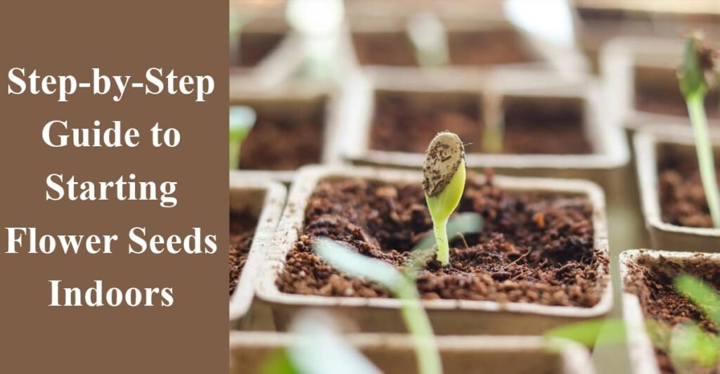 Step-by-Step Guide to Starting Flower Seeds Indoors