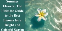 Summer Flowers: The Ultimate Guide to the Best Blooms for a Bright and Colorful Season