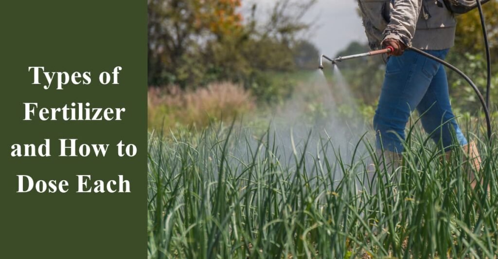 Types of Fertilizer and How to Dose Each