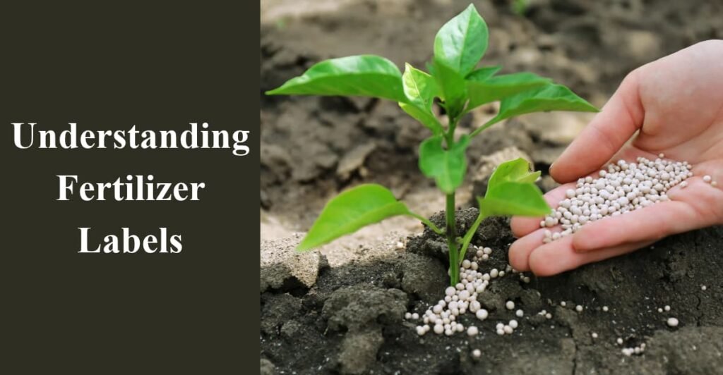 Understanding Fertilizer Labels