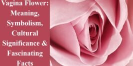 Vagina Flower: Meaning, Symbolism, Cultural Significance & Fascinating Facts