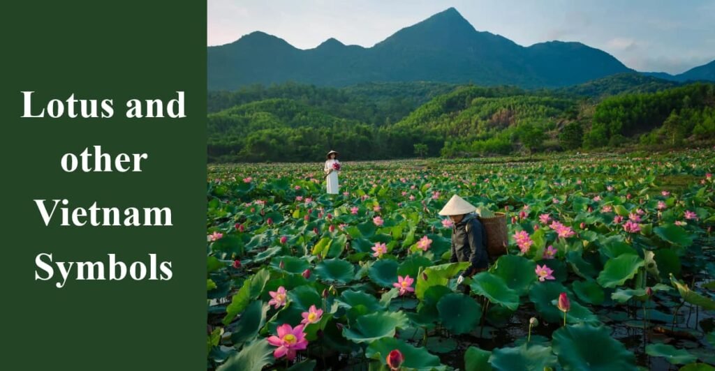 Lotus and other Vietnam Symbols