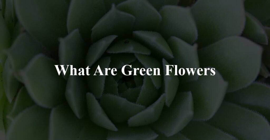 What Are Green Flowers