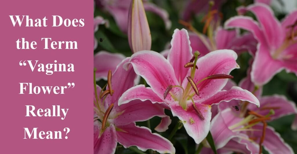 What Does the Term “Vagina Flower” Really Mean?