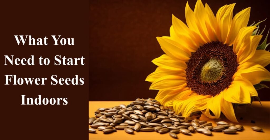 What You Need to Start Flower Seeds Indoors